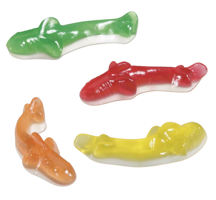 City Pop Candy Fundraiser Gummy Sharks